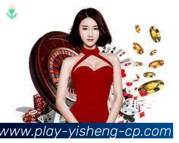 未来规划